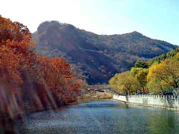 新澳天天开好彩资料大全，秀山土家族苗族自治seo优化